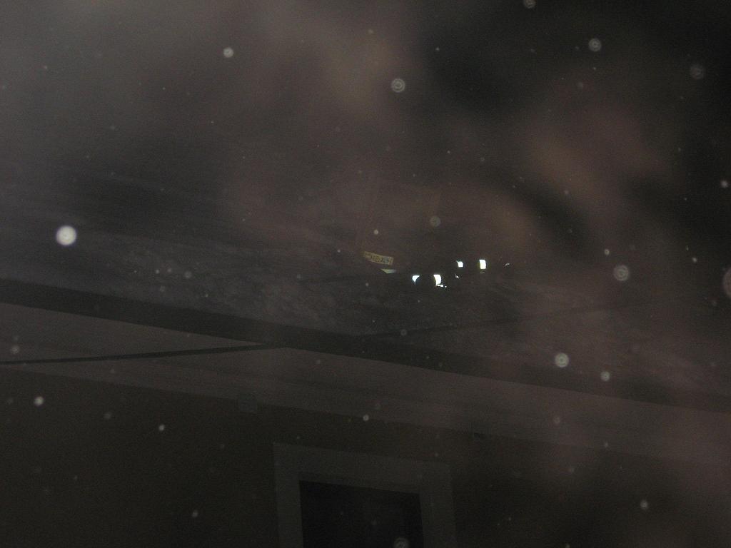 IMG_4613.JPG